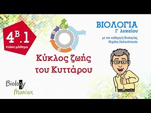 μάθημα 4B. 1 "Kύκλος ζωής του κυττάρου" Βιολογία Γ λυκείου . Biology maniax