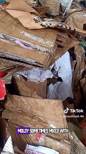 Delicious Eating: Best Video Compilation