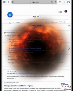 DSI. Les Oeufs de Pâques de Google (Easter Eggs). Chapitre 10. Les faux Easter Eggs. elgooG. 3e part