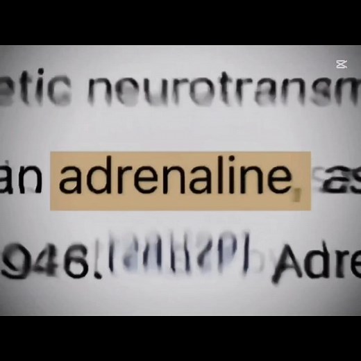 HT3 vs HT1: The Ultimate Adrenaline Showdown
