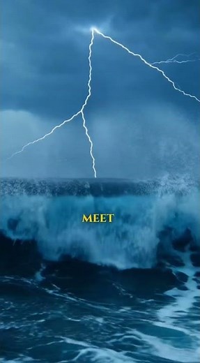 From Single Cell to Human... 🦖🙋‍♂️ #Evolution