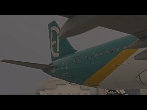ALPHA EXPRESS AIRLINES - DELIVERY FIRST AIRCRAFT - Microsoft Flight Simulator 2020 ULTRA REALISTIC