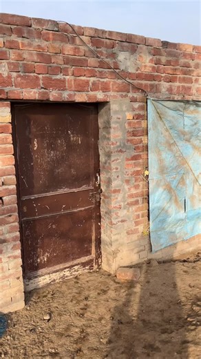 Preet kanne_aliya on Instagram: "Follow. . . . #hen #egg #poultry #motivation #instagood"