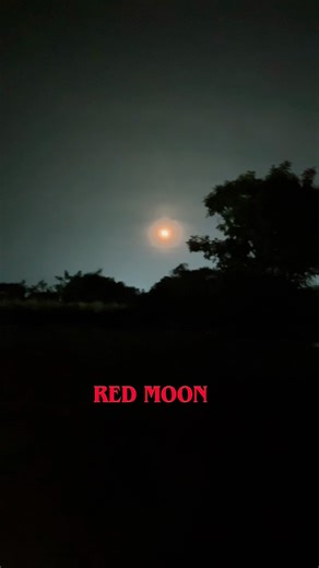 Blood Moon 🌙 #dlazywanderer #redmoon #moonlight #trendingshorts #viralshorts