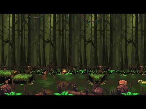 かいてんタルさんばし"スーパードンキーコング2"