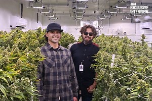 The Story Of OG Kush: How Wonderbrett's Grow Fueled Dr. Dre's "2001" Sessions & Beyond