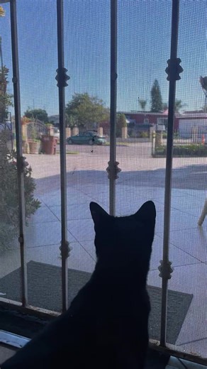 I went to wonder around at Barnes&Noble today.. I always go straight to the horror magazines lol 🤭🖤 #bookstore #ootd #horror #soloactivities #fyp