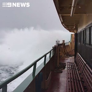 8.4K views · 50 reactions | WATCH: Sydney's iconic ferries have been...