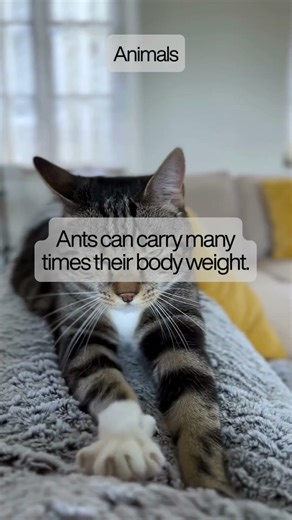 10 Simple Truths That Will Change Your Life