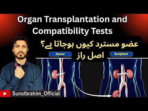 Organ Transplant Compatibility Explained | ABO & HLA Matching Before Transplantation
