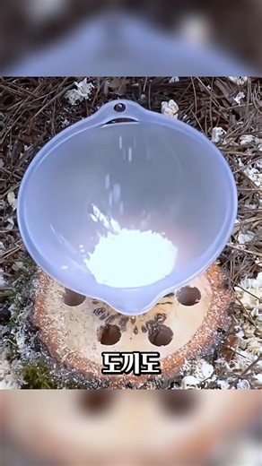 How to Remove a Tree Stump Without an Axe