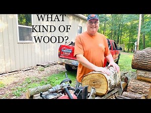 Identifying/splitting various tree species blocks into firewood