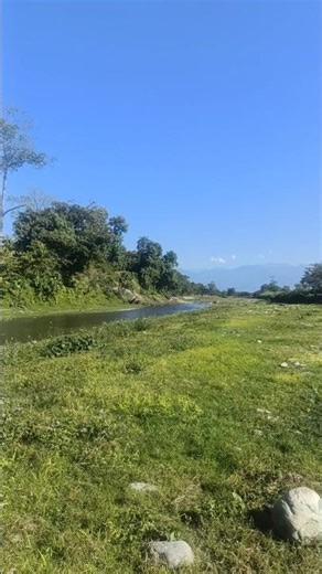 Wait for end 😱😁#shorts #viral