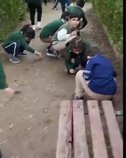 “1B class Science Lesson today. 11/2/2024 #ishik_gulan_kindergarten_and_primary_school | Ishik Gulan International Kindergarten and Primary School | Facebook