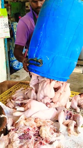 Chicken Cutting | Expert Cutter #villagecuttingcooking #vcc