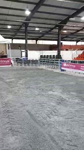 Just a taster of what it's going to look like - well done McCartneys for creating a theatre of dreams, it already looks to have a good atmosphere for the sale. I wonder which song will play for the sale toppers? | The Welsh Pony and Cob Society