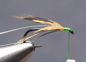 Video: How to Prepare and Tie-In a Soft-Hackle Feather - Orvis News