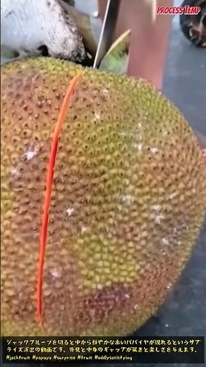ジャックフルーツを豪快にカットする作業プロセス #worker #process #jackfruit #cutting #fruit