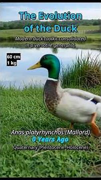 🦖 ➡️ 🦆 From T-Rex to Farmyard Ducks | 150 Million Years of Evolution