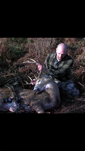 Hunt Breakdy #hunting #deer #deerhunting #bowhunting #wildlife