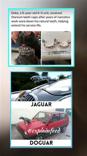 " Expectation vs Reality 😂 | Funny Meme "