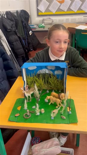 Scoil Bhríde Kilcullen on Instagram: "Mr Brennan’s 6th class Holly - the students have put tremendous work into their Biome Projects😃 They did a fantastic job 👏"