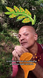 🕺💃 Sé el alma de la fiesta!! 🪴 Explica cómo reproducen los helechos. 😬 Como mucho...no te invitan más. | Víctor Fratto