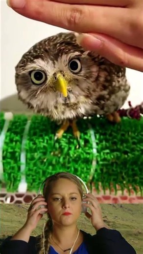 Very disturbing to my enjoyment