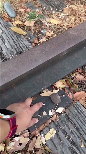 Amazing geocache on discontinued railroad tracks! #geocaching