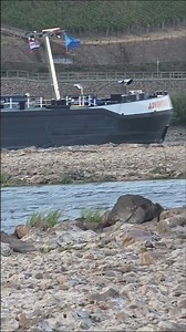 Gefährliches Binger Loch: Binnenschiff kämpft sich durch Rheinkilometer 529​ #films #automobile
