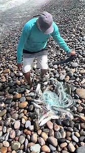 He Saw Something Move in the Water, Cast His Net, and the Sea Surprised Him