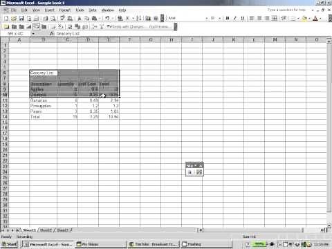 Excel 2003: How to create a macro in excel