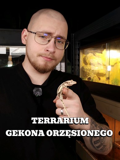 Terrarium dla Gekona Orzęsionego – Praktyczne Wskazówki