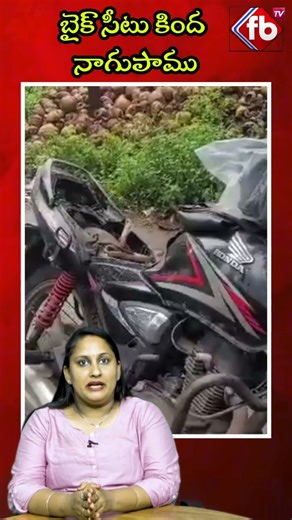 బైక్ సీటు కింద నాగుపాము #short #cobra #bikeseat #cobrahidden | FBTV NEWS