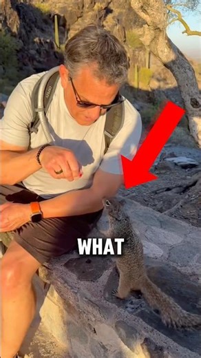 The Moment This Squirrel Finds Water