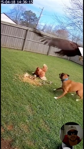 8.2K views · 62 reactions | Real-life CCTV footage captures an...