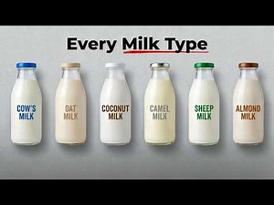 Every Milk Type Explained in 9 Minutes