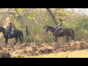 ONLY THE HORSES - Girls riding friesian horse in the woods