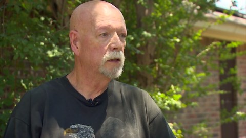 Three Dogs Accused in Fatal Mauling Investigation Released Back To Owner