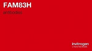 FAM83H antibodies from Thermo Fisher Scientific