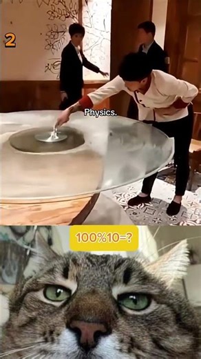 Cat Reacts to Physics Experiments #viral