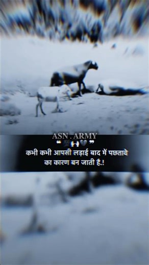 Attitude shayari video 😎💪....