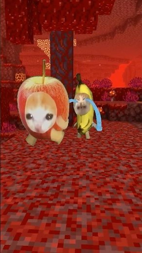 足場を利用してリンゴ猫から逃げよう #マイクラ #猫ミーム #bananacat