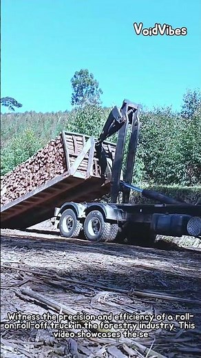 Powerful Roll on Roll off Truck in Action #worker