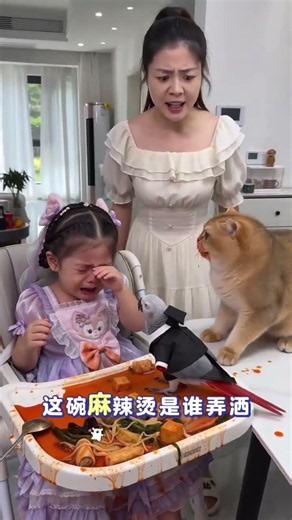 一碗麻辣燙引發冤案，小貓有苦說不清 #萌寵出道計劃 #萌娃 #貓咪#萌寵日常記錄 #萌寵成精了