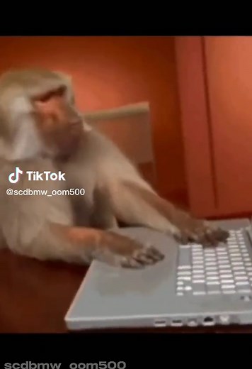 #oom500werememberyou #bmwe34love #scdbmw_oom500