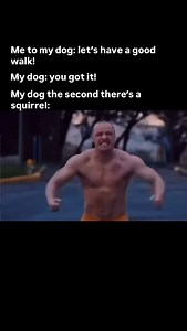 I think that squirrel was talking crazy. . All jokes aside dog training is essential in preventing and managing reactivity or high distractions, which often stems from fear, frustration, or a lack of socialization. A well trained dog is better equipped to handle stimuli like other dogs, , small critters, people, or loud noises without overreacting. Just as important, though, is how we as owners respond in those moments our energy, tone, and actions can either help de escalate the situation or un