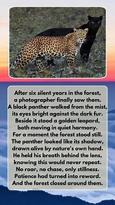 Watermelon Sugar on Reels