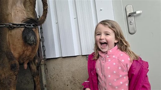 Fresh raw milk straight from the cow! (Don't worry, we dont expect you to stand with your bottle and catch it like this when you come to buy from us 😆) . Our raw milk vending machine is open 24/7! Bring a bottle or buy one from us. . Located just off of Filby heath. NR29 3JQ | Upper Wood Farm Shop and Raw Jersey Milk
