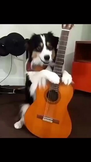 930K views · 10K reactions | What a HACK! Can’t believe he would post this! He can barely play! #guitar #guitarmemes | Marty Schwartz | Facebook